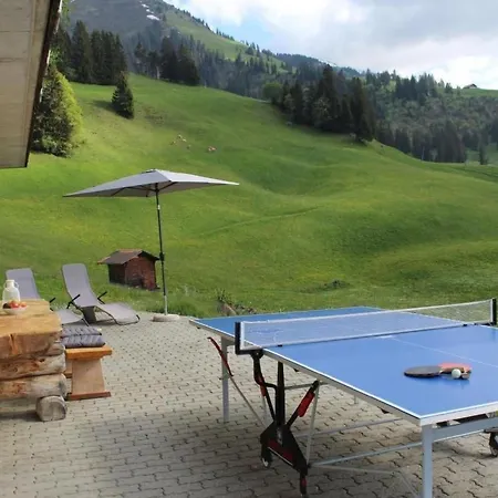 Lägenhet Gsaessweid By Interhome Horboden