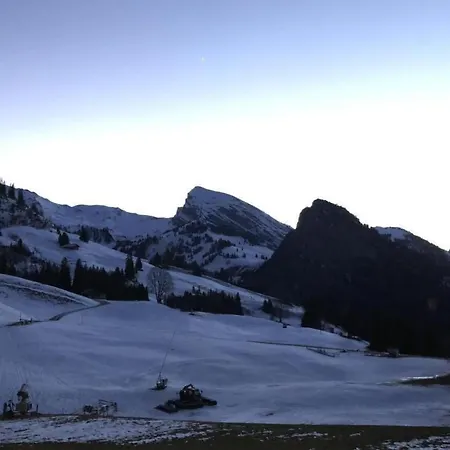 Gsaessweid By Interhome Daire Horboden