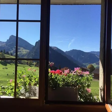 Gsaessweid By Interhome Horboden