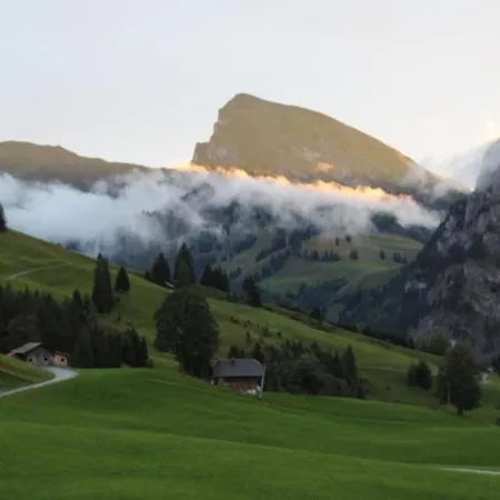 Gsaessweid By Interhome Daire Horboden