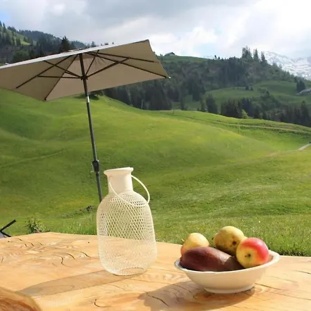 Gsaessweid By Interhome Horboden