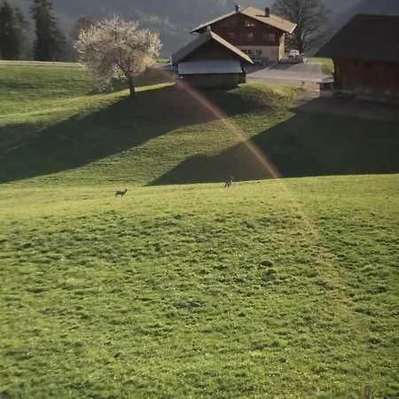 Gsaessweid By Interhome Horboden