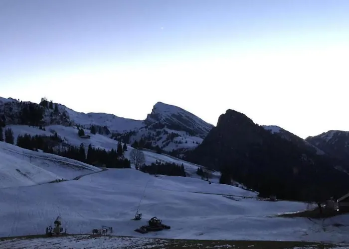 Gsaessweid By Interhome Lägenhet Horboden