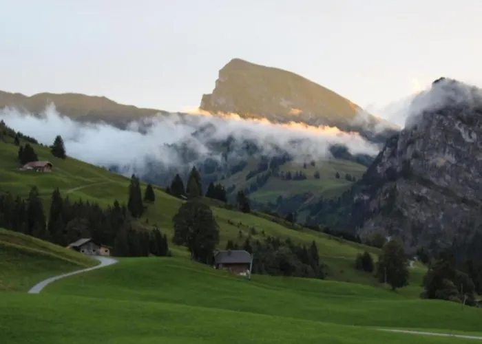 Gsaessweid By Interhome Lägenhet Horboden