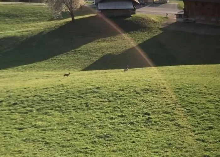 Gsaessweid By Interhome Horboden