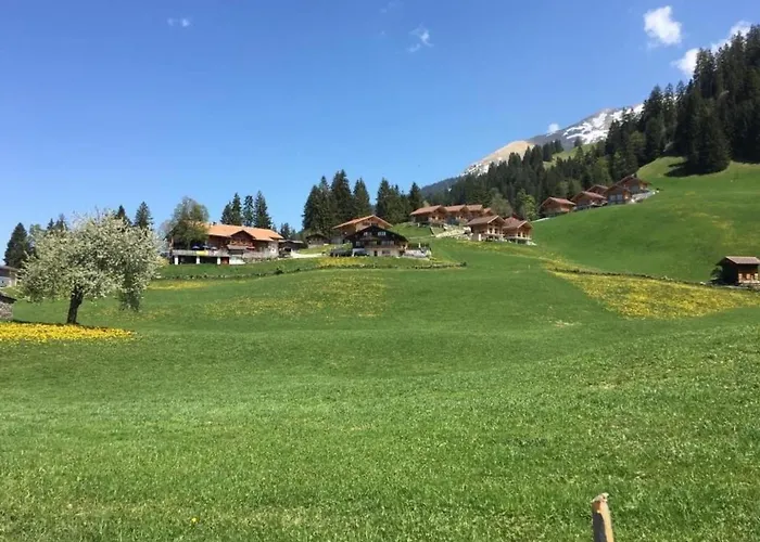 Gsaessweid By Interhome Horboden